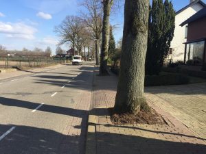 https://roerdalen.pvda.nl/nieuws/geen-ruimte-meer-rollator-kinderwagen/